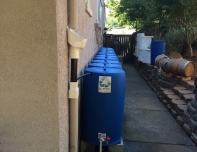 rain barrels