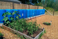 Church Garden Project - Windsor Community Church