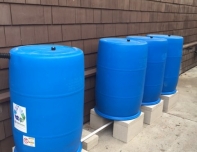 Rain Barrels Santa Monica