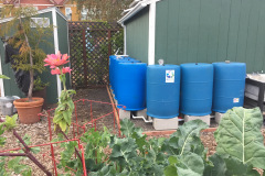 8 Barrels - Windsor Community Garden