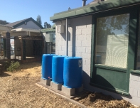 rainbarrels in the school garden